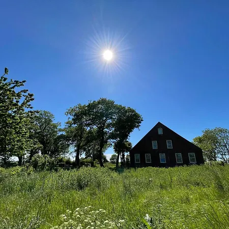 Gulfhof Dreybuelt Dreybuelt 10 Wilko Appartement Dornum