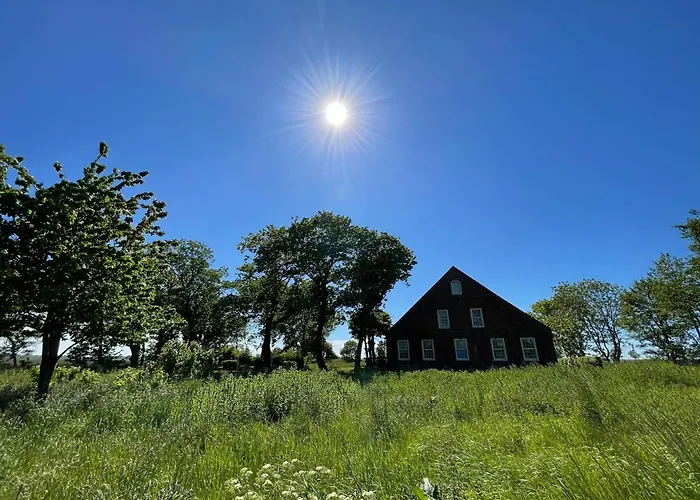 Gulfhof Dreybült Dreybült 10 Wilko Daire Dornum